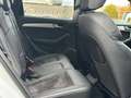 Audi SQ5 3.0 TDI competition quattro| 3x S-Line |Pano Blanc - thumbnail 12