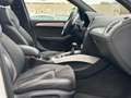 Audi SQ5 3.0 TDI competition quattro| 3x S-Line |Pano Blanc - thumbnail 13