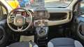 Fiat Panda Panda 1.0 FireFly S&S Hybrid City Cross UNIPRO' NO Blu/Azzurro - thumbnail 15