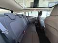 Ford Focus 2,0 EcoBlue SCR Titanium Aut. Grau - thumbnail 34