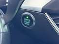 Ford Focus 2,0 EcoBlue SCR Titanium Aut. Grau - thumbnail 46