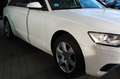 Audi A6 Avant 3.0 TDI mit Navi+Xenon Blanco - thumbnail 3