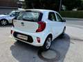 Kia Picanto 1,0 MPI Titan*bei Finanzierung Zinssatz fix6,274% Weiß - thumbnail 10