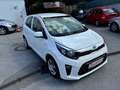 Kia Picanto 1,0 MPI Titan*bei Finanzierung Zinssatz fix6,274% Weiß - thumbnail 13