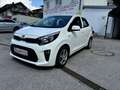 Kia Picanto 1,0 MPI Titan*bei Finanzierung Zinssatz fix6,274% Weiß - thumbnail 1