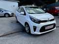 Kia Picanto 1,0 MPI Titan*bei Finanzierung Zinssatz fix6,274% Weiß - thumbnail 12