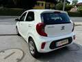 Kia Picanto 1,0 MPI Titan*bei Finanzierung Zinssatz fix6,274% Weiß - thumbnail 8