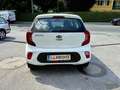 Kia Picanto 1,0 MPI Titan*bei Finanzierung Zinssatz fix6,274% Weiß - thumbnail 9