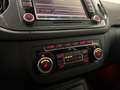 Volkswagen Tiguan 2,0 TDI BMT 4Motion Sky XENON - AHK - PANO Grau - thumbnail 25