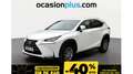 Lexus NX 300 300h Corporate 2WD + Navibox Blanc - thumbnail 1