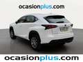 Lexus NX 300 300h Corporate 2WD + Navibox Blanc - thumbnail 3