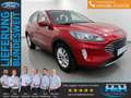 Ford Kuga 1.5 EcoB Titanium LED+AHK+Keyfree+Kamera Red - thumbnail 1