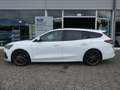 Ford Focus ST X 2.3L EB 280PS Blanco - thumbnail 6