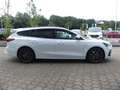 Ford Focus ST X 2.3L EB 280PS Blanco - thumbnail 3