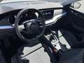 Skoda Octavia Combi 2.0 TDI Blackline 125€ m. 20% Anzahlung Vi Bianco - thumbnail 10