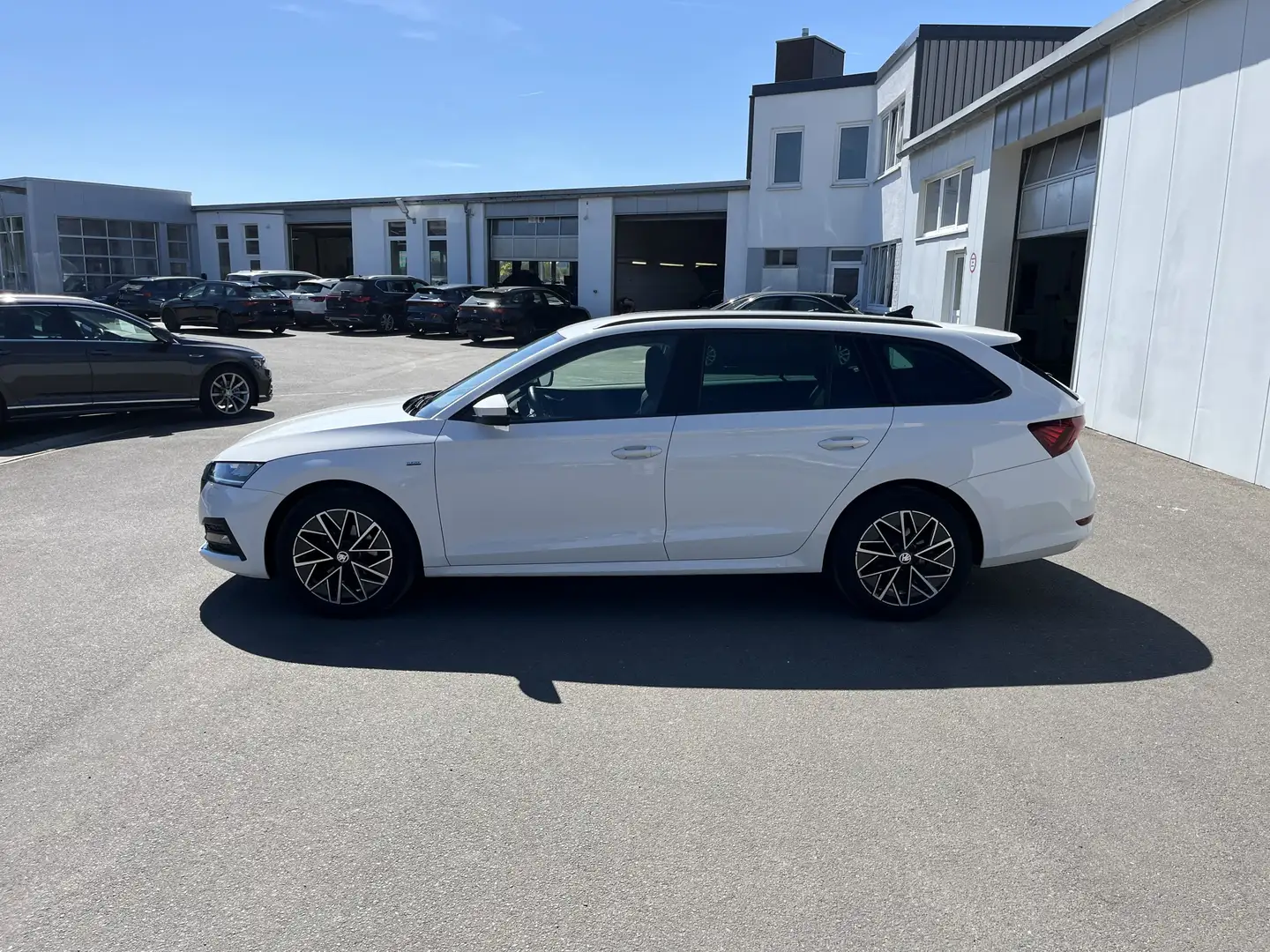 Skoda Octavia Combi 2.0 TDI Blackline 125€ m. 20% Anzahlung Vi Bianco - 2