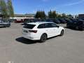 Skoda Octavia Combi 2.0 TDI Blackline 125€ m. 20% Anzahlung Vi Bianco - thumbnail 7