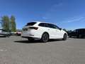 Skoda Octavia Combi 2.0 TDI Blackline 125€ m. 20% Anzahlung Vi Bianco - thumbnail 6