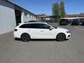 Skoda Octavia Combi 2.0 TDI Blackline 125€ m. 20% Anzahlung Vi Bianco - thumbnail 5