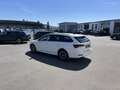 Skoda Octavia Combi 2.0 TDI Blackline 125€ m. 20% Anzahlung Vi Bianco - thumbnail 9