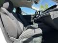 Skoda Octavia Combi 2.0 TDI Blackline 125€ m. 20% Anzahlung Vi Bianco - thumbnail 13
