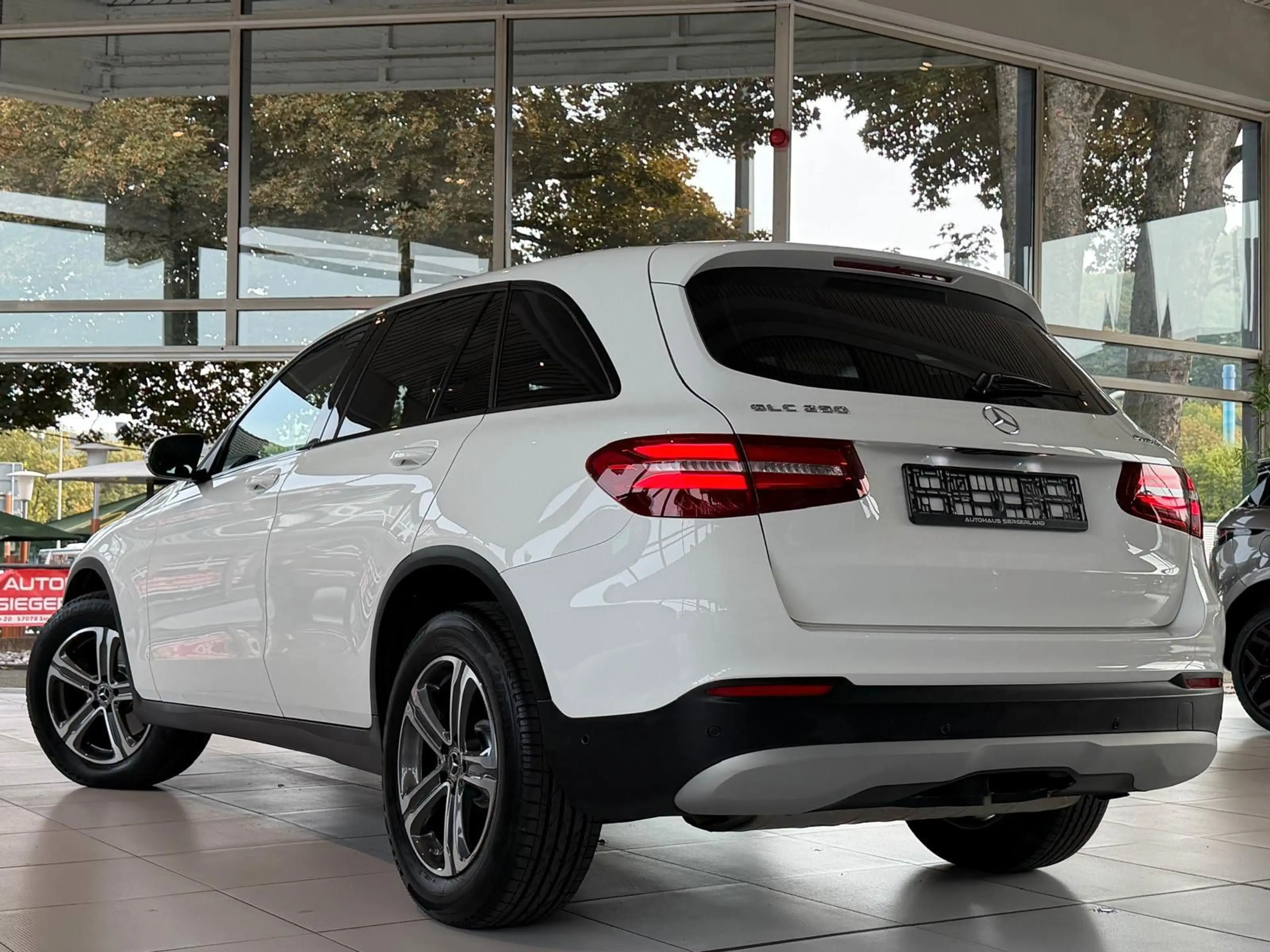 Mercedes-Benz GLC 250 4Matic/PDC/AHK/NAVI/ — photo 10