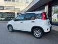 Fiat Panda City 1.0 firefly hybrid Bianco - thumbnail 3