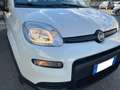 Fiat Panda City 1.0 firefly hybrid Bianco - thumbnail 9