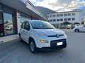 Fiat Panda City 1.0 firefly hybrid Bianco - thumbnail 8