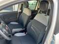 Fiat Panda City 1.0 firefly hybrid Bianco - thumbnail 14
