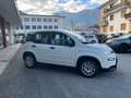 Fiat Panda City 1.0 firefly hybrid Bianco - thumbnail 7