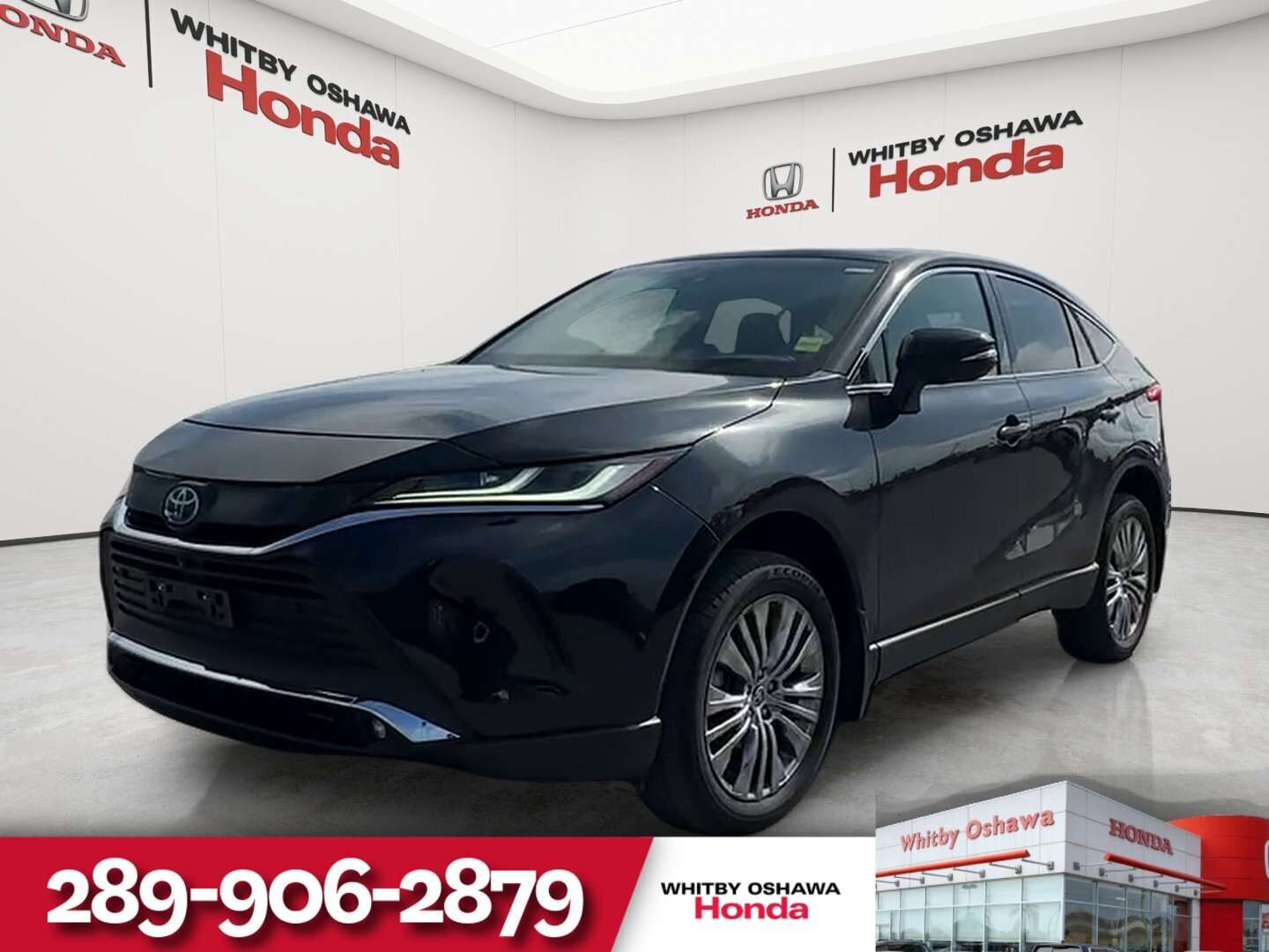 2023 Toyota Venza Limited