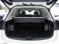 Subaru Forester 2.0ie Edition Sport40 Weiß - thumbnail 14