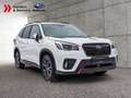 Subaru Forester 2.0ie Edition Sport40 Weiß - thumbnail 3