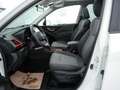 Subaru Forester 2.0ie Edition Sport40 Weiß - thumbnail 17