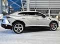Lamborghini Urus 2022 Lamborghini Urus SUV 4,0L V8  ONLY 60dkm Ezüst - thumbnail 13