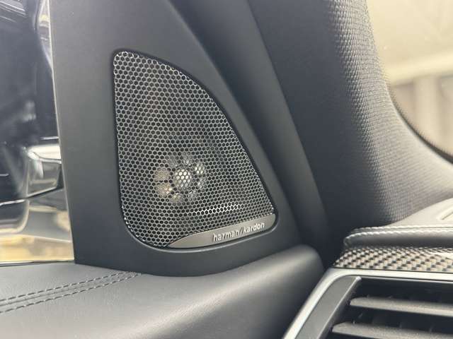 BMW M3 F80 M3 Competition * 30 Jahre * 1 of 500 * manual