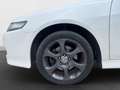 Honda Accord 2.0i-VTEC Sport Blanco - thumbnail 17
