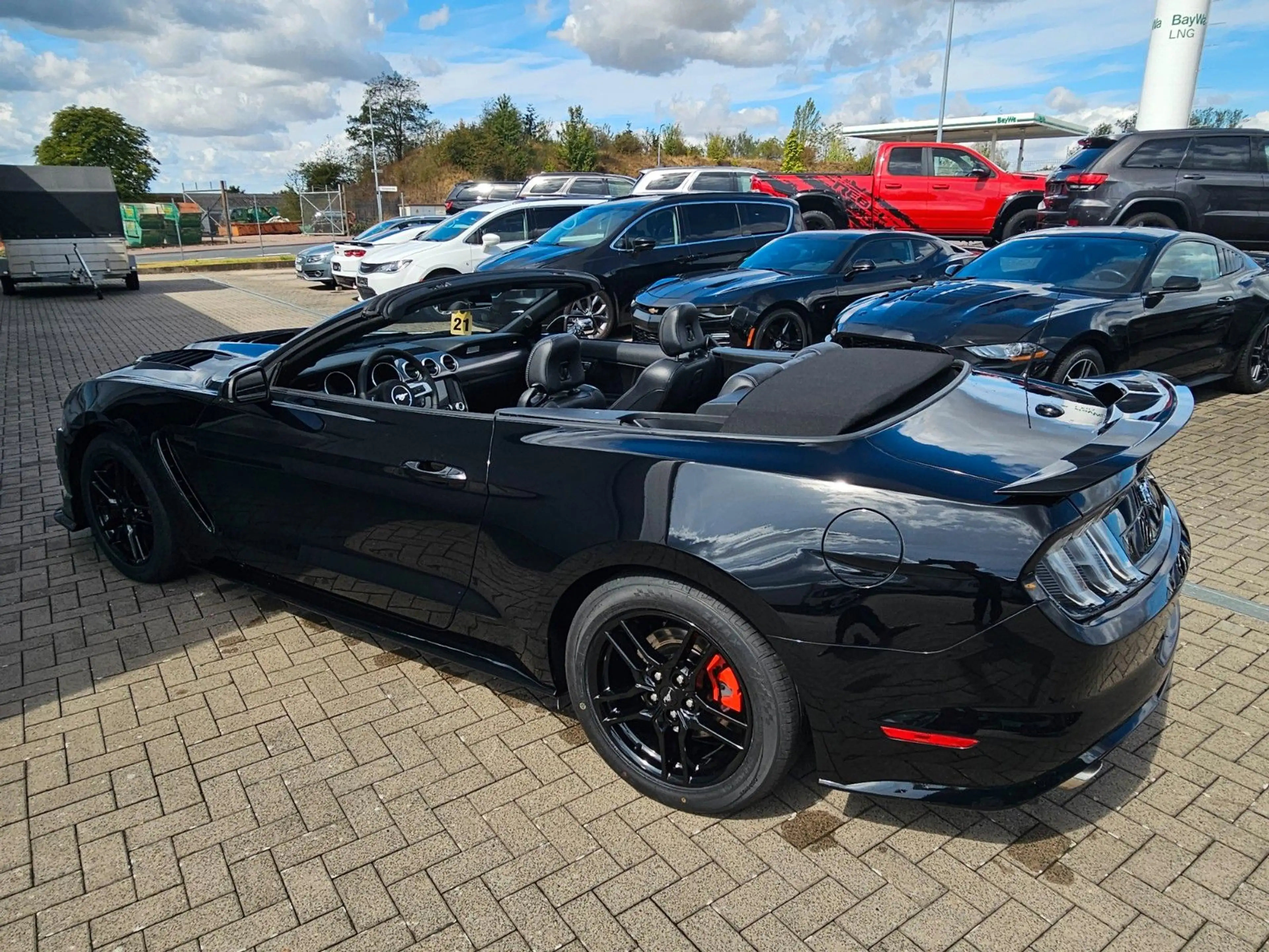 Ford Mustang 2,3 EcoBoost.Automatik.Cabrio — photo 7