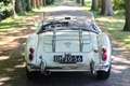 MG MGA | Volledig gerestaureerd, zeer mooie staat Weiß - thumbnail 2