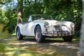 MG MGA | Volledig gerestaureerd, zeer mooie staat Weiß - thumbnail 11
