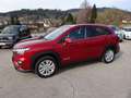 Suzuki S-Cross 1,4 Hybrid ALLGRIP shine,"SOFORT VERFÜGBAR" !! Rot - thumbnail 1