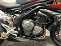 Triumph Speed Triple 1200 RR - thumbnail 6