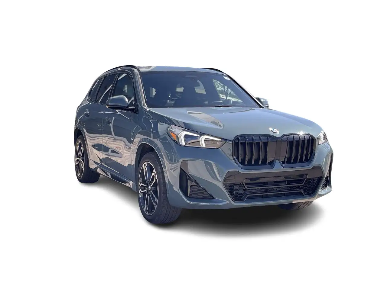 BMW X1 fotografie BMW X1