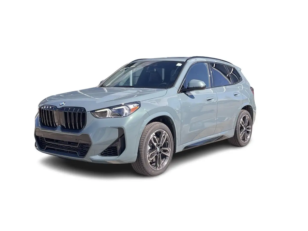 BMW X1 fotografie BMW X1