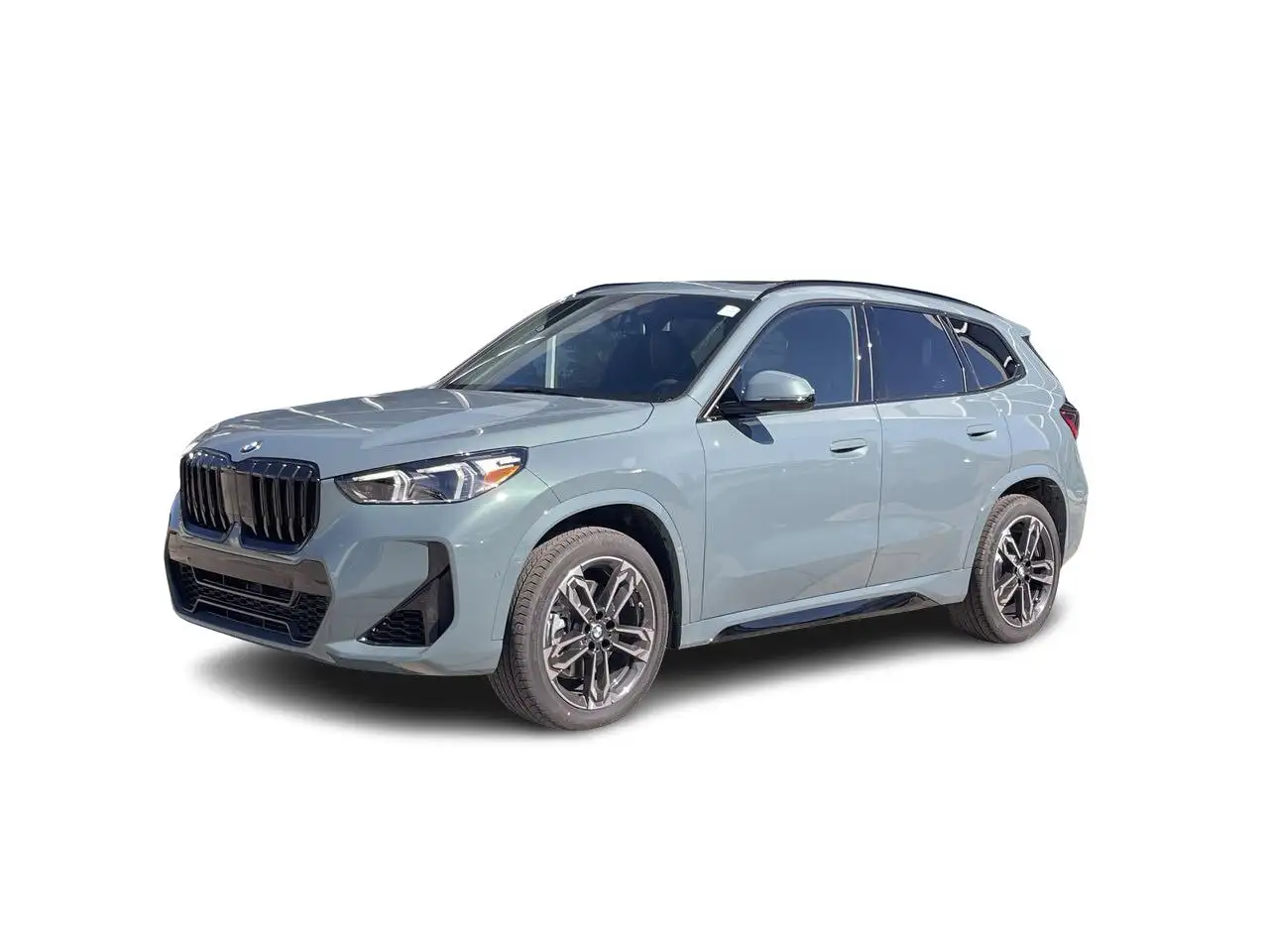 BMW X1 fotografie BMW X1