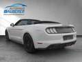 Ford Mustang CABRIO 5,0 V8 GT // PRIVAT-VERKAUF // Weiß - thumbnail 3