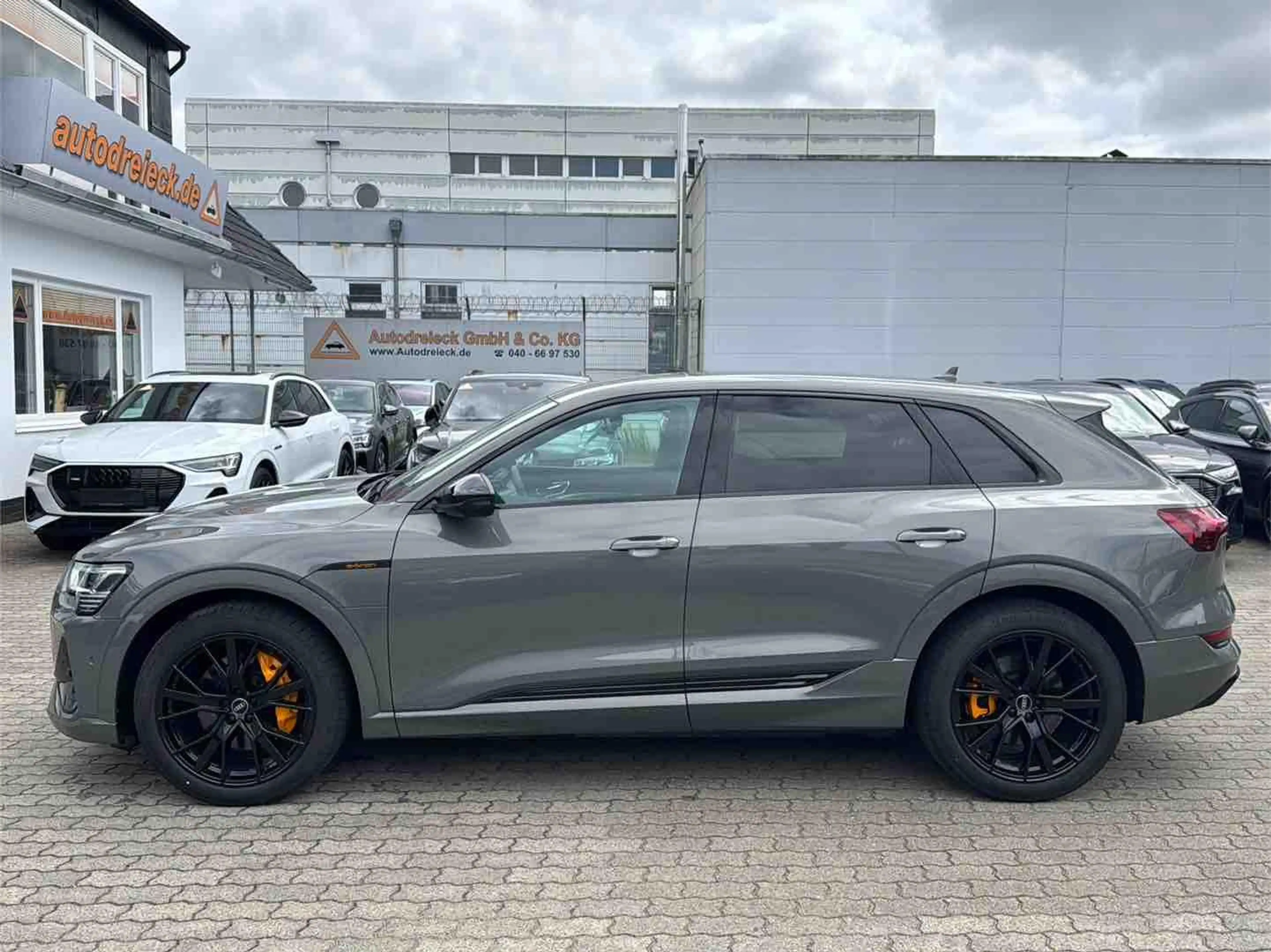 Audi e-tron 55 2x S line BLACK EDITION ACC MATRIX 360 — photo 11
