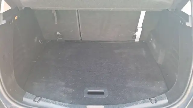 Renault Scenic view 14
