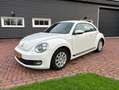 Volkswagen Beetle Beetle 1.2 TSI Design Wit - thumbnail 20